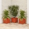 Nature Spring Square Planter Box, Terracotta Colored Lattice Container for Flowers and Plants, Patio and Porch 680078JQS - alternate 2